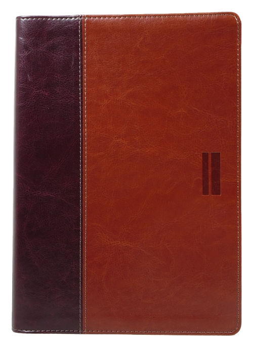 NLT Parallel Study Bible