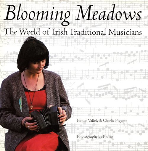 Blooming Meadows: The World of Irish Traditional Musicians