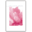 Michaelmas -The Little Series - Volume Seven