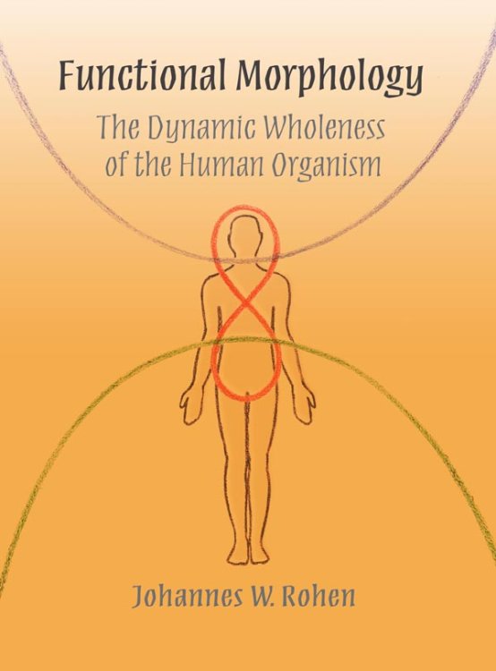 Functional Morphology The Dynamic Wholeness of the Human Organism