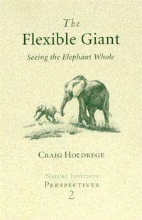 Flexible Giant, The Seeing the Elephant Whole