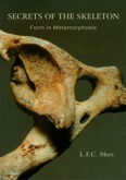 Secrets of the Skeleton: Form in Metamorphosis