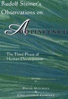Image for Rudolf Steiner's Observations On Adolescence The Third Phase of Human Development Rudolf Steiner's Observations On Adolescence The Third Phase of Human Development