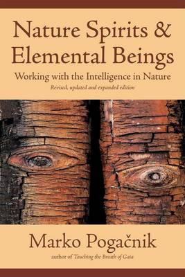 Nature Spirits and Elemental Beings Working with the Intelligence in Nature