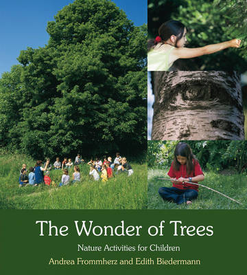 Wonder of Trees Nature Activities for Children