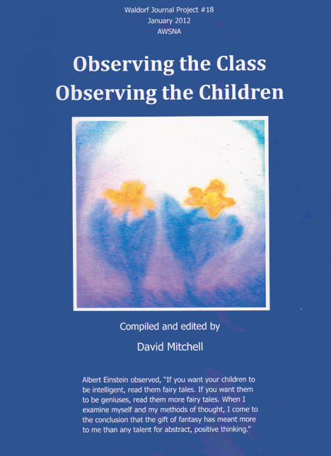 Observing the Class, Observing the Children Waldorf journal Project #18
