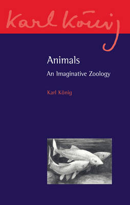 Animals An Imaginative Zoology