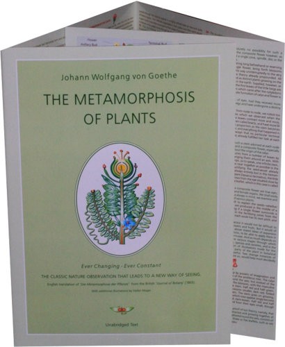 Metamorphosis of Plants, The