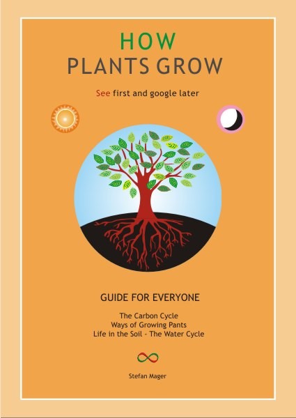 How Plants Grow