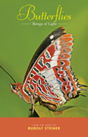 Butterflies Beings of Light