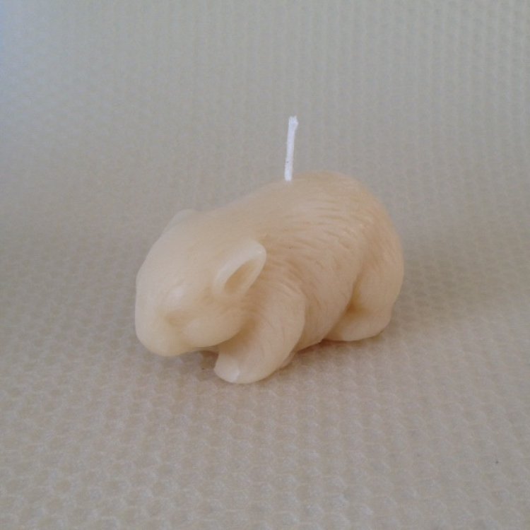 Candle, small wombat
