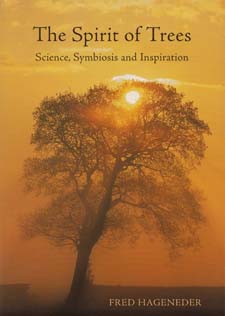 Spirit of Trees Science Symbiosis and Inspiration