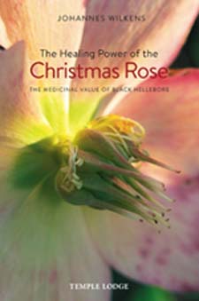 Healing Power of the Christmas Rose The Medicinal Value of Black Hellebore