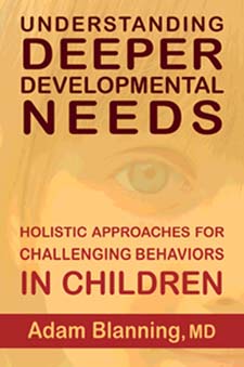 Understanding Deeper Developmental Needs Holistic Approaches for Challenging Behaviors in Children