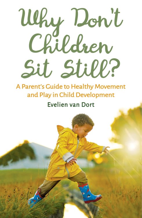 Why Don't Children Sit Still: A Parent's Guide to Healthy Movement and Play in Child Development