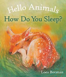 Hello Animals, How Do You Sleep