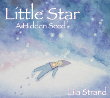 Little Star A Hidden Seed
