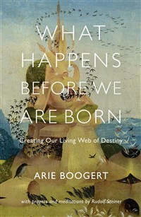 What Happens before We Are Born Creating Our Living Web of Destiny