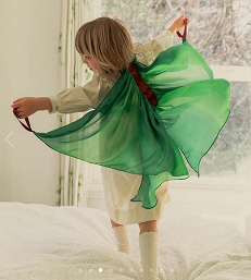Fairy Wings Forest