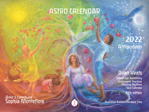 Astro Calendar 2022 - REDUCED Price