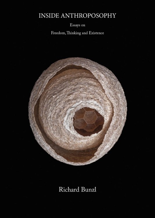 Inside Anthroposophy Essays on Freedom, Thinking and Existence