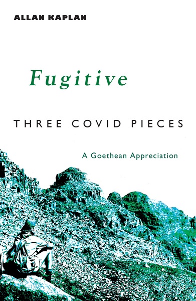 Fugitive Three Covid Pieces: A Goethean Appreciation