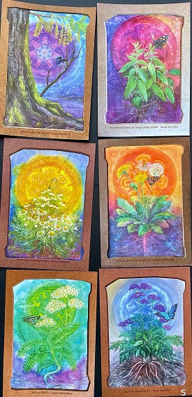 A4 Poster of Biodynamic Plants