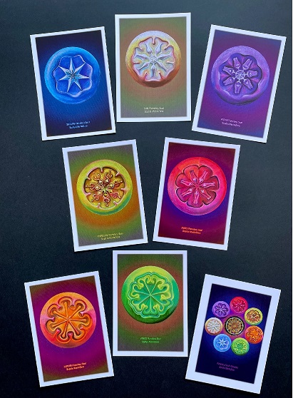 Planetary Seals Set of 8 Postcards