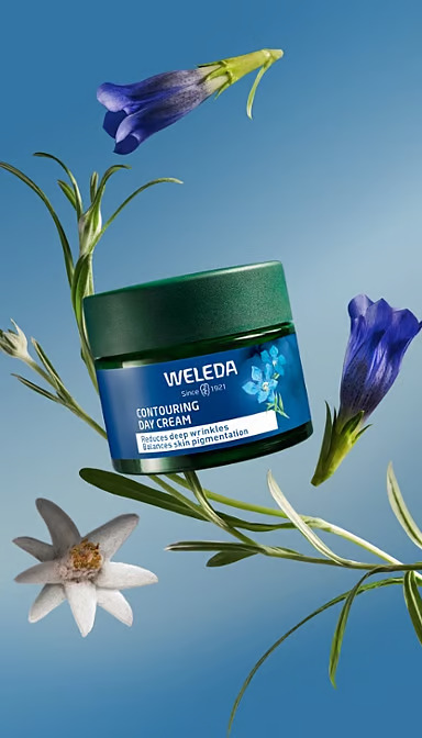 Contouring Day Cream - Blue Gentian & Edelweiss Reduces deep wrinkles, firms sagging neck and skin. For mature skin.