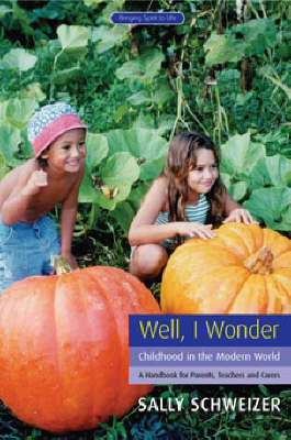 Well I Wonder Childhood in the Modern World, a Handbook for Parents, Teachers and Carers