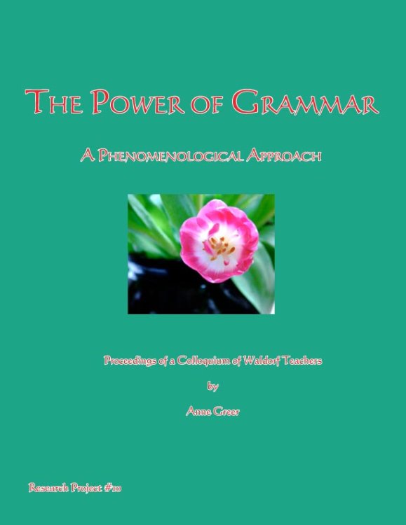 Power of Grammar, The A phenomenological approach