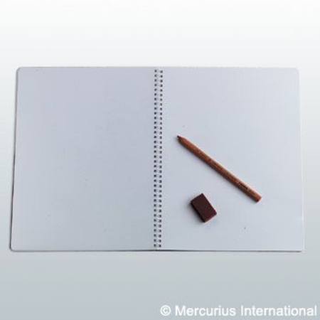 Main Lesson book spiral 32x38 high Orange (Pack of10)