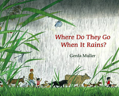 Where Do They Go When it Rains
