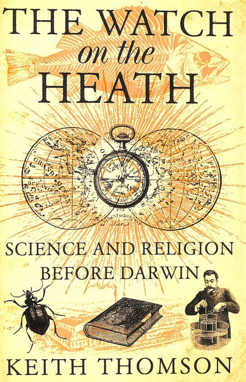 The Watch on the Heath: Science and Religion before Darwin