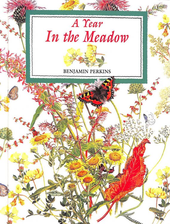 A Year in the Meadow