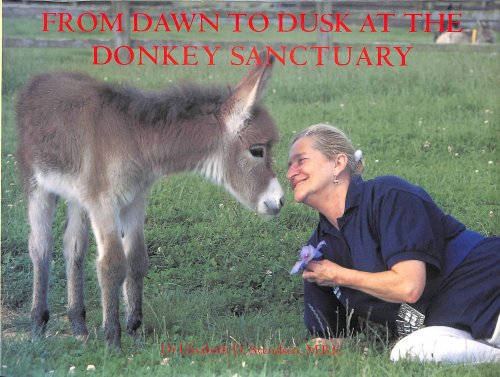 From Dawn to Dusk at the Donkey Sanctuary