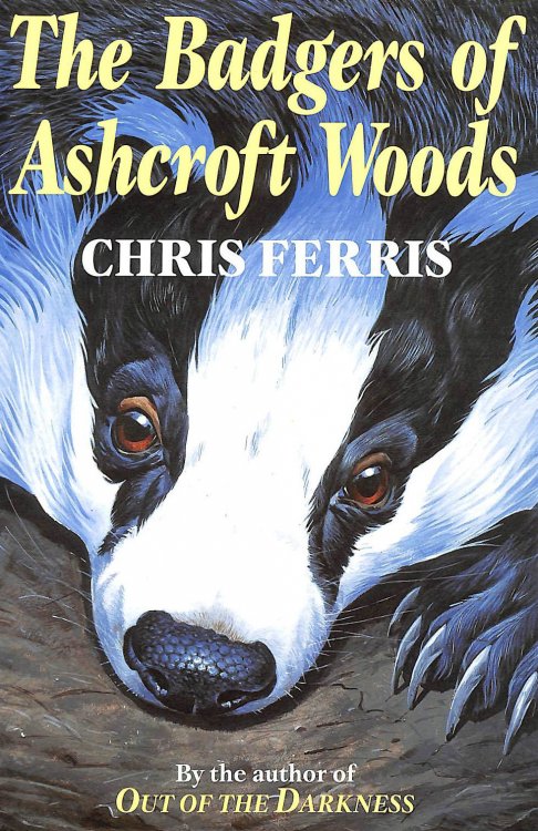 The Badgers of Ashcroft Woods