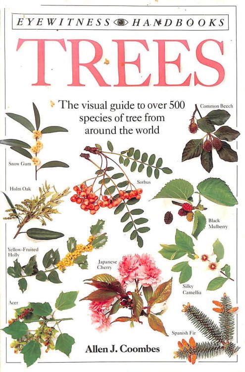 Trees (Eyewitness Handbooks)