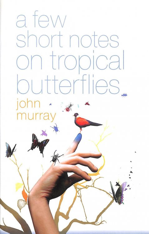 A Few Short Notes On Tropical Butterflies