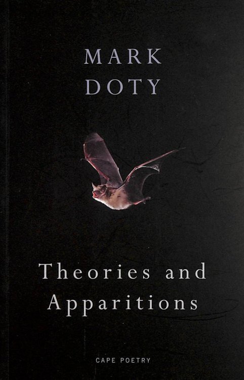 Theories And Apparitions