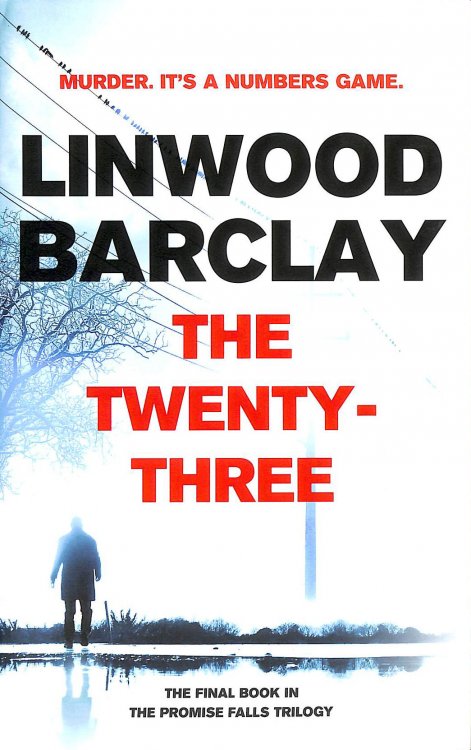 The Twenty-Three: (Promise Falls Trilogy Book 3)