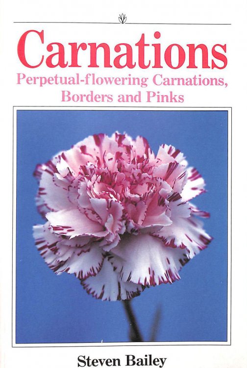 Carnations: Perpetual-Flowering Carnations, Borders And Pinks