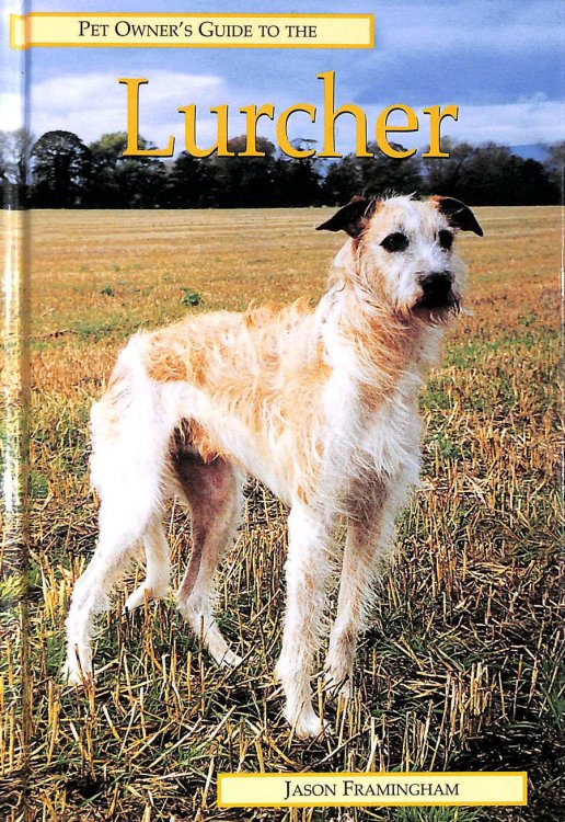 Pet Owner's Guide To The Lurcher