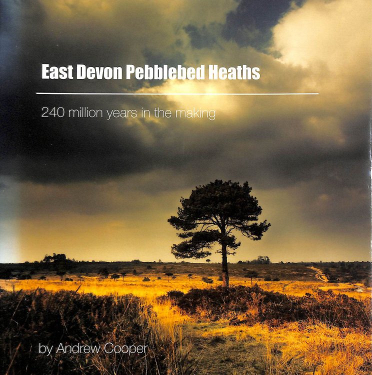 East Devon Pebblebed Heaths: 240 Million Years in the Making