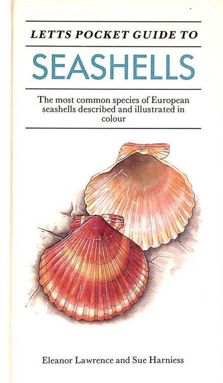 Letts Pocket Guide to Seashells (Letts pocket guides)