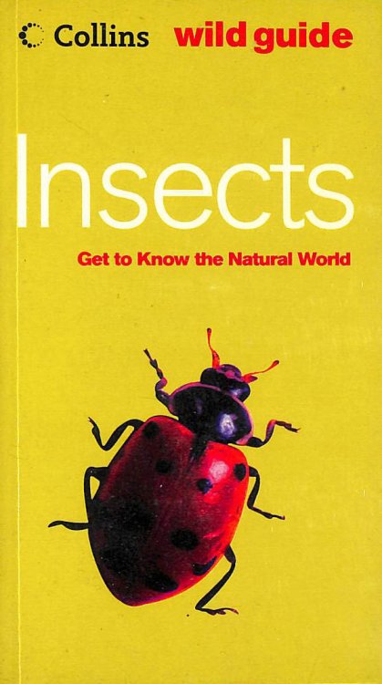 Insects