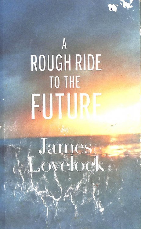 A Rough Ride to the Future