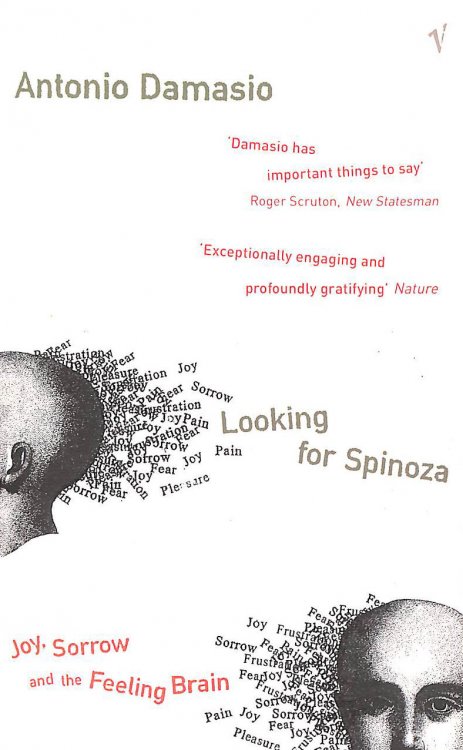 Looking for Spinoza