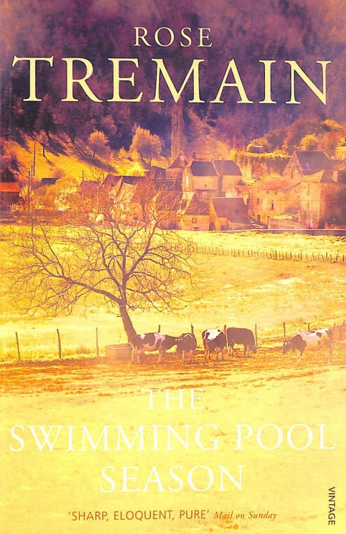 The Swimming Pool Season
