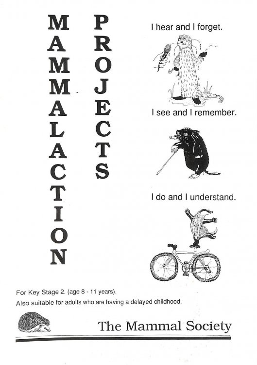 Mammalaction projects